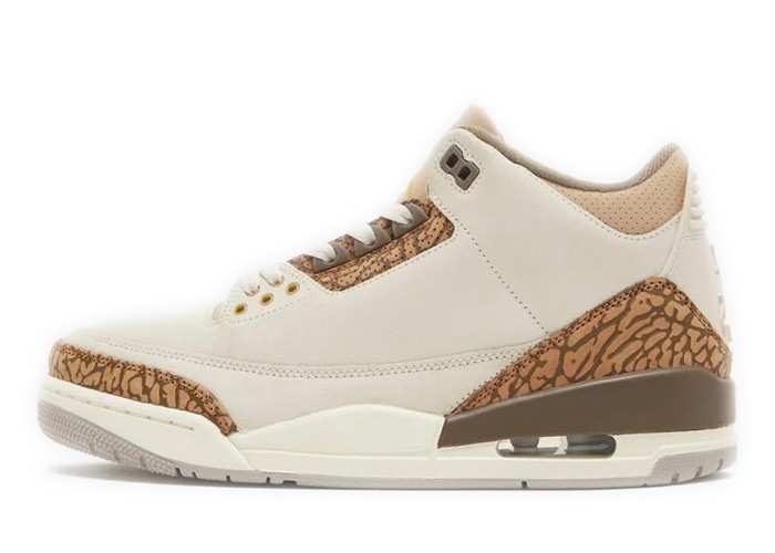 Air Jordan 3 Retro 